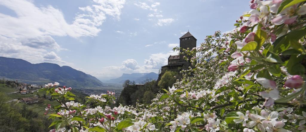 Hotel Zum Tiroler Adler Εξωτερικό φωτογραφία