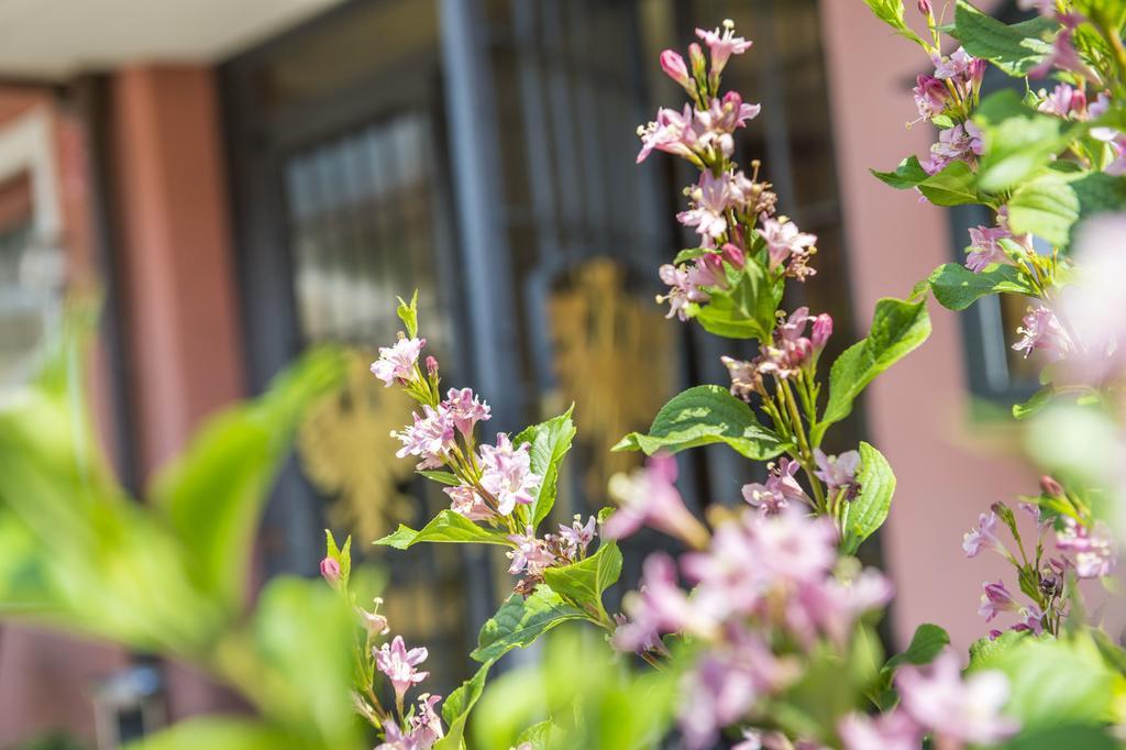 Hotel Zum Tiroler Adler Εξωτερικό φωτογραφία
